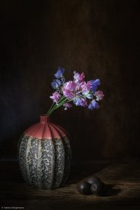  tekijältä Saskia Dingemans