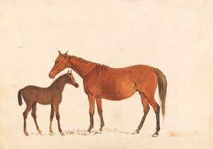 Kastanienbraune Stute und Fohlen