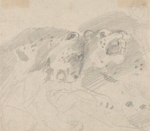 Kaksi leopardia tekijältä Sawrey Gilpin
