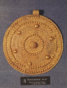 Pectoral, Senegalista
