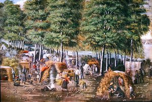 Viiriäisen ihme (väri litho) tekijältä School American
