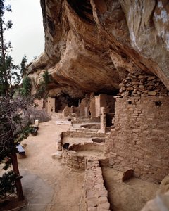 Näkymä kuusen talon tontille (1993, valokuvaus) tekijältä School Anasazi