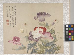 8-lehtinen kukka-albumi, 1700-luvun puoliväli (muste ja väri paperille). tekijältä School Chinese