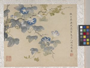 8-lehtinen kukka-albumi, 1700-luvun puoliväli (muste ja väri paperille). tekijältä School Chinese