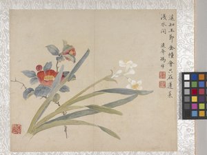 8-lehtinen kukka-albumi, 1700-luvun puoliväli (muste ja väri paperille). tekijältä School Chinese