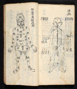 Akupunktiopisteet pitkin kehon keskilinjaa, Jing Guan Qi Zhi, "Akupunktiopisteiden ja -kanavien alku ja loppu", pub. Etelä-Kiina, 1700-luvun alku (muste paperille) tekijältä School Chinese