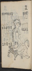 Akupunktiopisteet selkärangan ja pään varrella, Jing Guan Qi Zhi, "Akupunktiopisteiden ja -kanavien alku ja loppu", pub. Etelä-Kiina, 1700-luvun alku (muste paperille) tekijältä School Chinese
