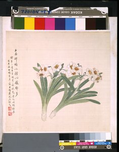 Album Of Flowers And Birds, päivämäärä tuntematon (tussi ja väri silkille). tekijältä School Chinese