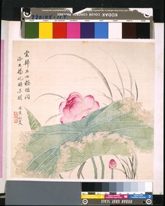 Album Of Flowers And Birds, päivämäärä tuntematon (tussi ja väri silkille). tekijältä School Chinese