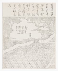 Riisin kastelu tekijältä School Chinese