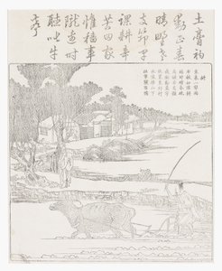 Kyntäminen vesipuhvelin kanssa mutaisessa riisissä paddy. tekijältä School Chinese