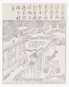 Riisin säilytys tekijältä School Chinese