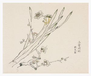 Kymmenen Bamboo-sarja tekijältä School Chinese