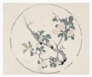 Kymmenen Bamboo-sarja tekijältä School Chinese