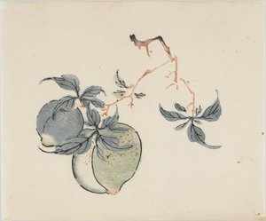 Kymmenen Bambu-sarja tekijältä School Chinese