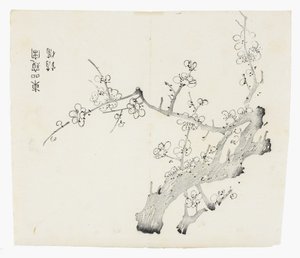 Ten Bamboo -sarja tekijältä School Chinese