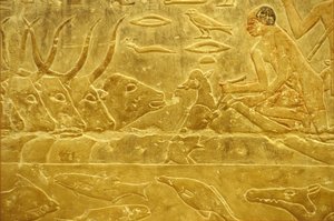 Muinainen Egypti, Seinään kaiverrettu/maalaus, Mastaba/Tomb of Idout, Saqqara, 6. dynastia, Karja ylittää joen, Mies auttaa vasikkaa joen yli, Äiti katselee (kuva) tekijältä School Egyptian