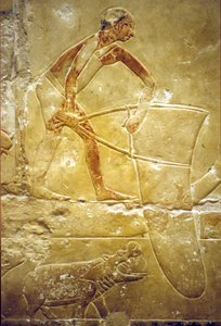 Muinainen Egypti, seinäkaiverrukset/maalaukset, Mastaba/Tomb of Idout, Saqqara, 6. dynastia, Kalastus rysäverkolla, Hippo (kuva) tekijältä School Egyptian