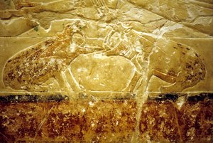 Muinainen Egypti, seinäkaiverrukset/maalaukset, Mastaba/Tomb of Idout, Saqqara, 6. dynastia, Kaksi virtahepoa taistelemassa (kuva) tekijältä School Egyptian