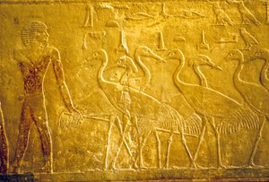 Muinainen Egypti, seinäkaiverrukset/maalaukset, Mastaba/Ti:n hauta, Saqqara, 5. dynastia, Maanviljelijä johtaa kesyjä kurkia (kuva) tekijältä School Egyptian