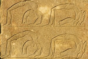 Muinainen Egypti, seinämaalaus/kaiverrus, Naisakrobaatit esiintymässä, Karnakin temppeli, Luxor (kuva) tekijältä School Egyptian
