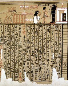 Egyptin hieroglyfit tekijältä School Egyptian