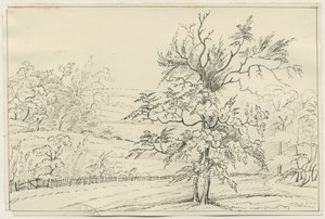 Cannock Chase: kynä- ja lyijykynäpiirros, nd [?1800-luku] (piirustus) tekijältä School English