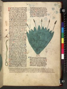 Egerton 747 Tractatus de herbis (Herbal) n. 1280-1310 (muste ja väri tarranauhalla) tekijältä School Italian