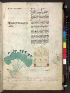 Egerton 747 Tractatus de herbis (Herbal) n. 1280-1310 (muste ja väri tarranauhalla) tekijältä School Italian