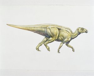 Hadrosaurid tai ankannokkadinosaurus (värinen lito) tekijältä School Italian