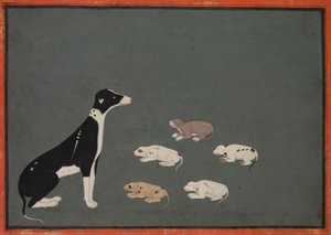 Koira pentujen kanssa, n.1780 (tussi ja peiteväri paperille). tekijältä School Mughal