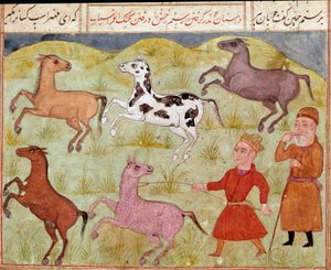 Islamilainen taide: Lordi ja hänen maatilan poikansa vangitsevat villihevosia lassossa. Persialainen miniatyyri eeppisen runon "Shahnameh" käsikirjoituksesta" (Shah Nama, Shahnama) (Kuninkaiden kirja), kirjoittaja Ferdowsi (Firdawsi tai Ferdawsi tai Firdou tekijältä School Persian