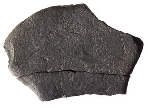 Panttivankikivi varhaiskeskiaikaisesta saaren luostarista, Inchmarnock, Bute, Skotlanti, noin 8.-9. vuosisadalla jKr. (liuskekivi) tekijältä Scottish School