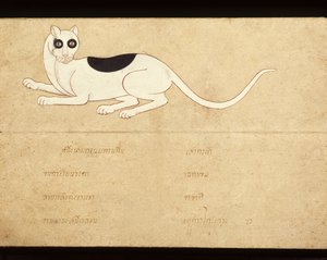 Siamilaisia kissoja käsittelevän käsikirjoituksen lehti, 1900-luvun alku (vesiväri paperille). tekijältä School Thai