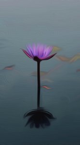 Violetti lilja tekijältä Scott J. Davis