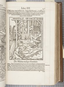 Cosmographia, Fol 437, 1544 tekijältä Sebastian Munster