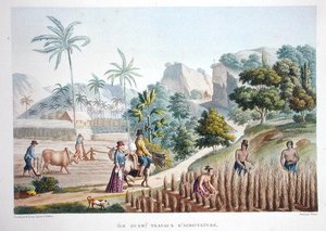 Maataloustyöntekijät, Guam, Filippiinit, Louis Claude Desaulses de Freycinet