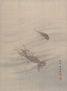 Meren pohja Näytetään Cray Fish, n. 1890-92.