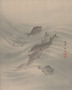Kalat, n. 1890-92.