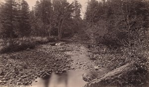 Marion River Bassettin leirillä