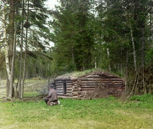 Mies puuhakkuiden ja kuria (hiilenpoltto) kotan edessä metsässä, Venäjän valtakunnassa, vuosina 1905-1915