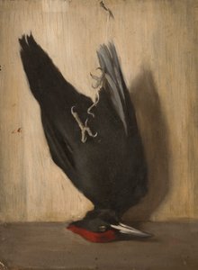 Palokärki tekijältä Severin Falkman