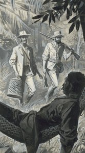 Henry Walter Bates ja Alfred Russel Wallace (guassi paperille). tekijältä Severino Baraldi