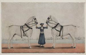 Syce (sulhanen) pitelee kahta vaunuhevosta, n. 1845 (läpinäkymätön akvarelli paperille) tekijältä Shaik Muhammad Amir of Karraya (attr. to)