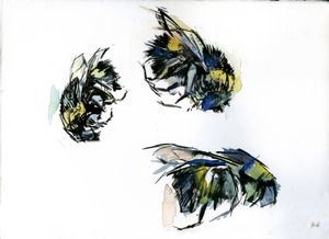 Bee Studies, 2024 (tussi paperille)
