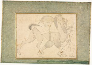 Kameli ja sulhanen, yhden sivun kuvitus, c. 1545-1576. tekijältä Shaykh Muhammad