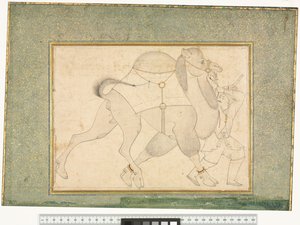 Kameli ja sulhanen, n. 1545–1576 tekijältä Shaykh Muhammad