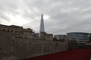 Blood Swept Lands and Seas of Red, Tower of London, 2014.
