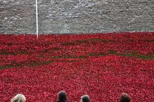 Blood Swept Lands and Seas of Red, Tower of London, 2014.