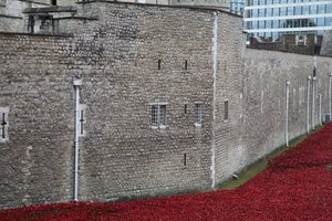 Blood Swept Lands and Seas of Red, Tower of London, 2014.